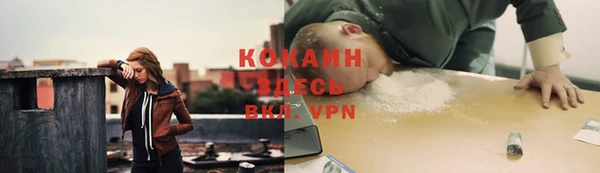 дмт Инта