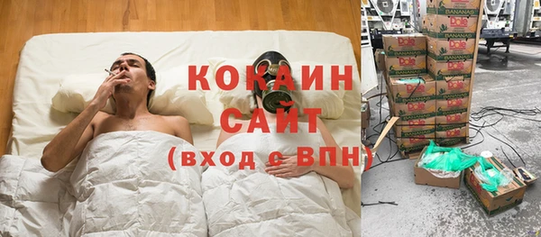 молекула духа Каменск-Шахтинский