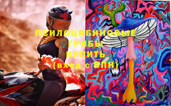 синтетический гашиш Каменногорск