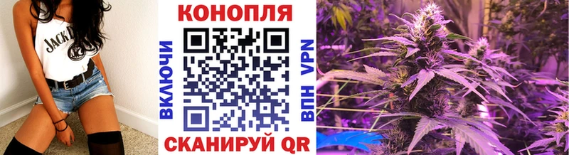 Купить закладки  Кизляр  Конопля марихуана 